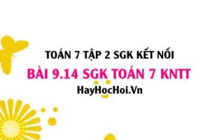 Bài 9.14 SGK Toán 7 Tập 2 Kết nối tri thức
